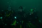 Diver group