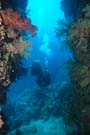 Divers through channel