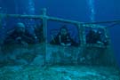 P31 Divers look out