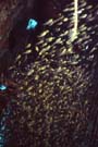 Abu galawa yacht glassfish