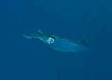 DSC_6227rc.jpg
